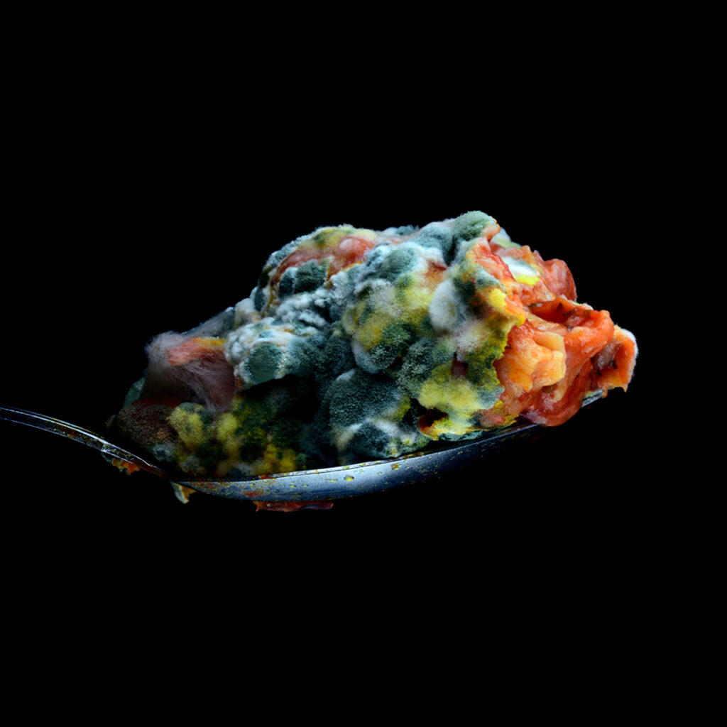 Spoon full of moldy food, vibrant colors, macro photography, classic fine art, modern approach, disgustingly beautiful.