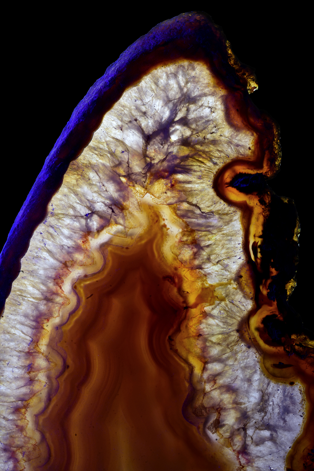 Wonderful shot of an agat slice, backlit to show off its inner beauty.
