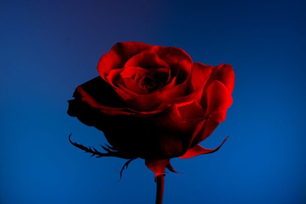 29th of November 2022 (03:21)